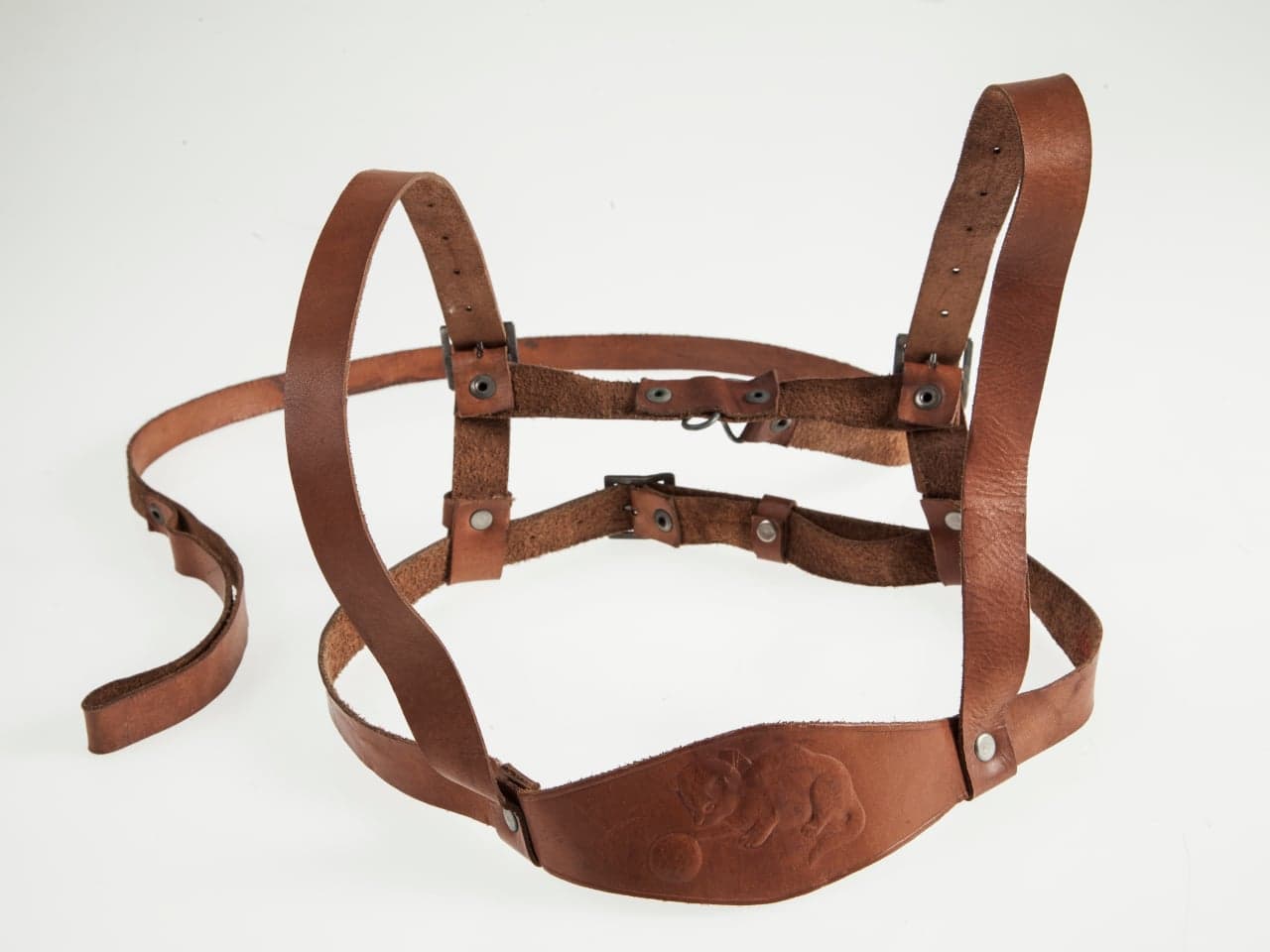 幼児用の歩行リード